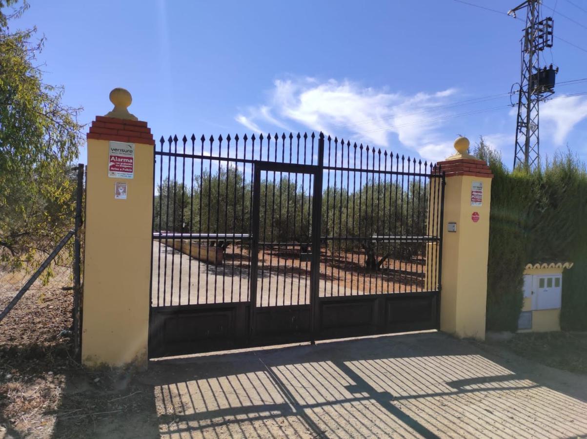 Los Abuelos Setenil De Las Bodegas 외부 사진