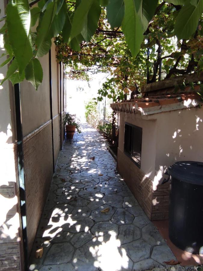 Los Abuelos Setenil De Las Bodegas 외부 사진