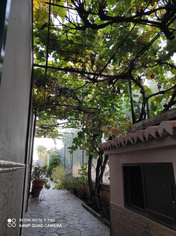 Los Abuelos Setenil De Las Bodegas 외부 사진